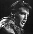 Elvis- The King