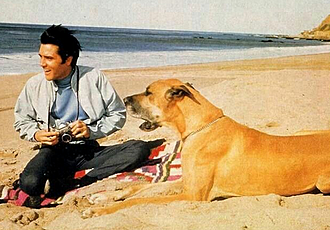 Elvis mit Albert