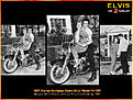 Klicke auf die Grafik für eine vergrößerte Ansicht

Name: 57_hydra_yvonne-1406717106.jpg
Ansichten: 72
Größe: 288,7 KB
ID: 1540150